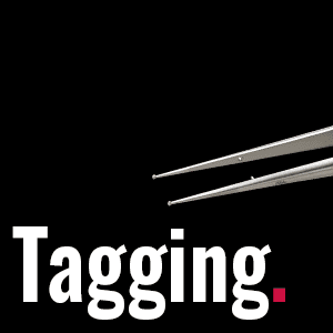 EASY-TAG Tracking System